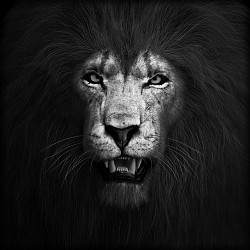 Classy Art Temp Glass w/Foil -Lion ...